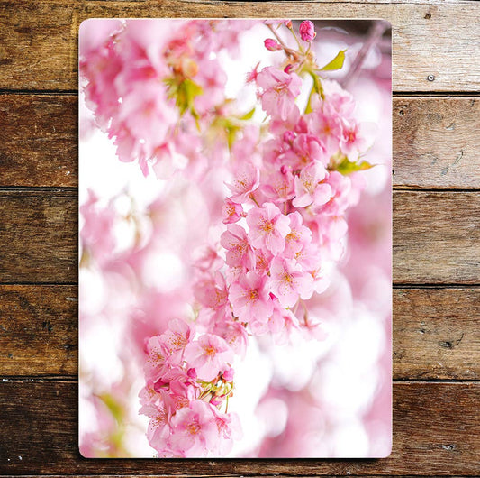 Cherry Blossom art | Metal Sign Plaque