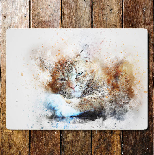 Cute Resting Cat Portrait | Metal Sign Plaque