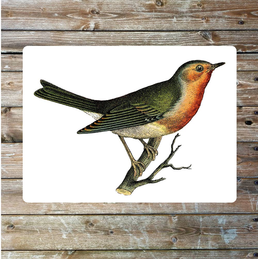 Robin red Breast art Metal Sign Plaque