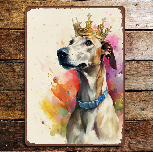 Greyhound Champion Colour Splash Art | Metal Sign Plaque