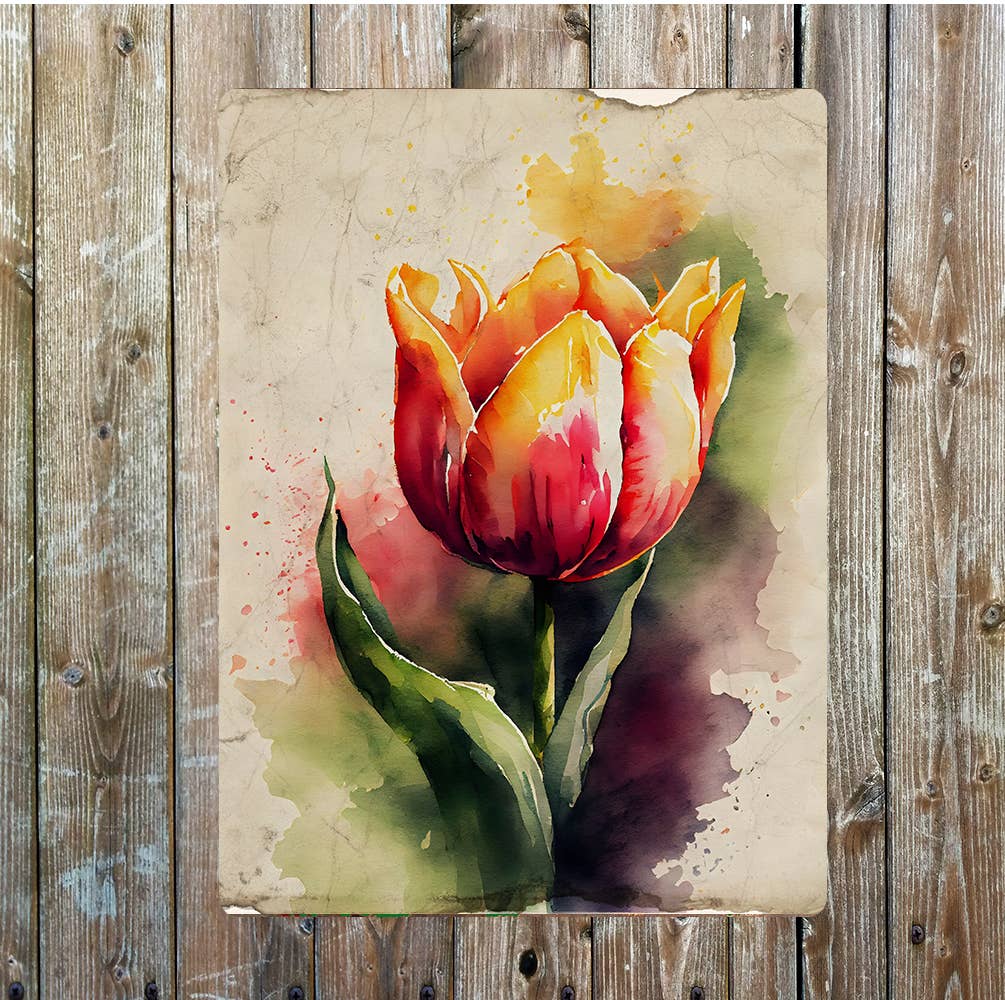 Pink Yellow Open Tulip Flower Portrait Metal Sign Plaque