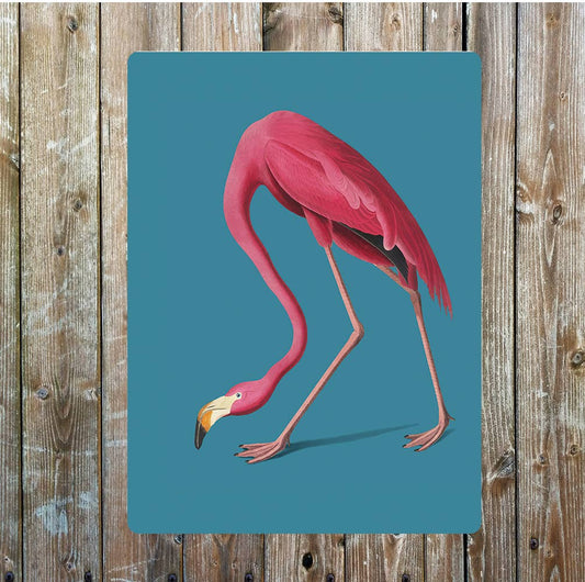 Flamingo pink art | Metal Sign Plaque