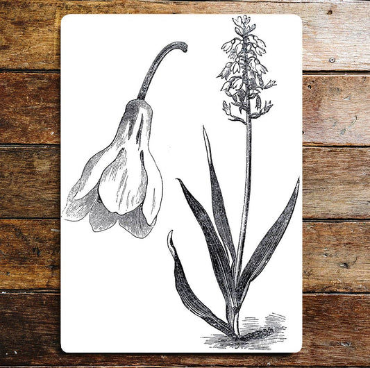 Snowdrops Black And White Flowers Metal Wall Sign