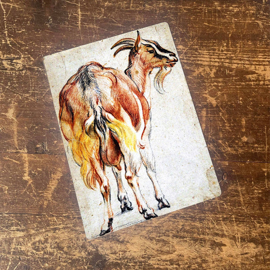 Goat Illustration | Metal Botanical Wall Sign