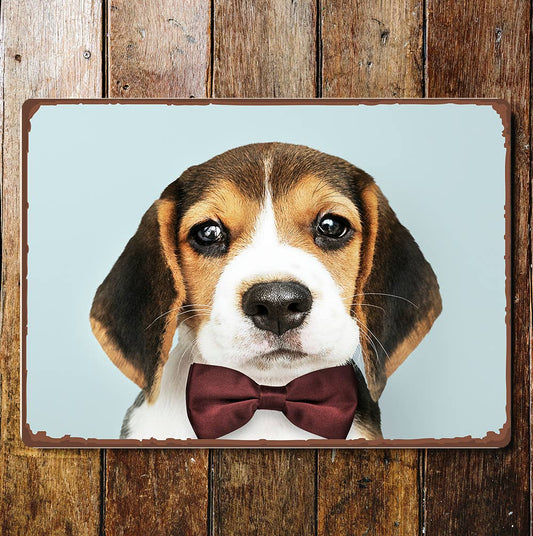 Beagle Dog Bow Tie | Metal Wall Sign Plaque