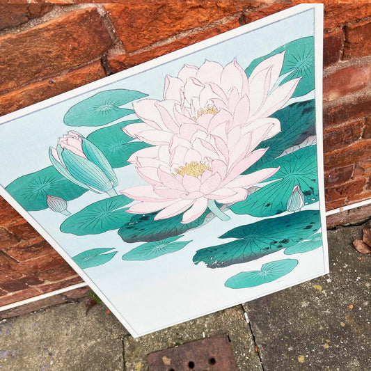 Japanese Water Lily Vintage Botanical Plant | Metal Sign