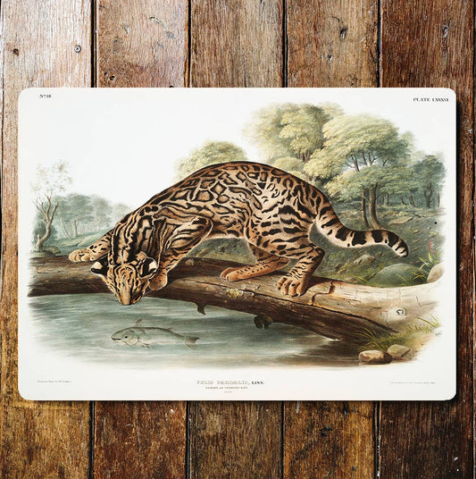 Cheetah Fishing Tree Log | Metal Sign Plaque