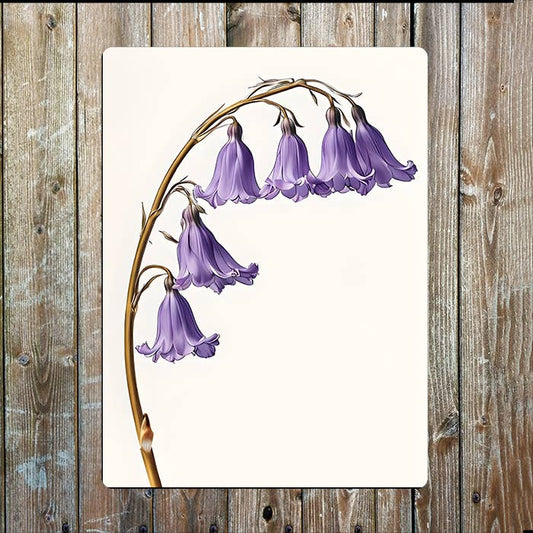 Watercolour Elegant Bluebells Flower | Metal Sign Plaque