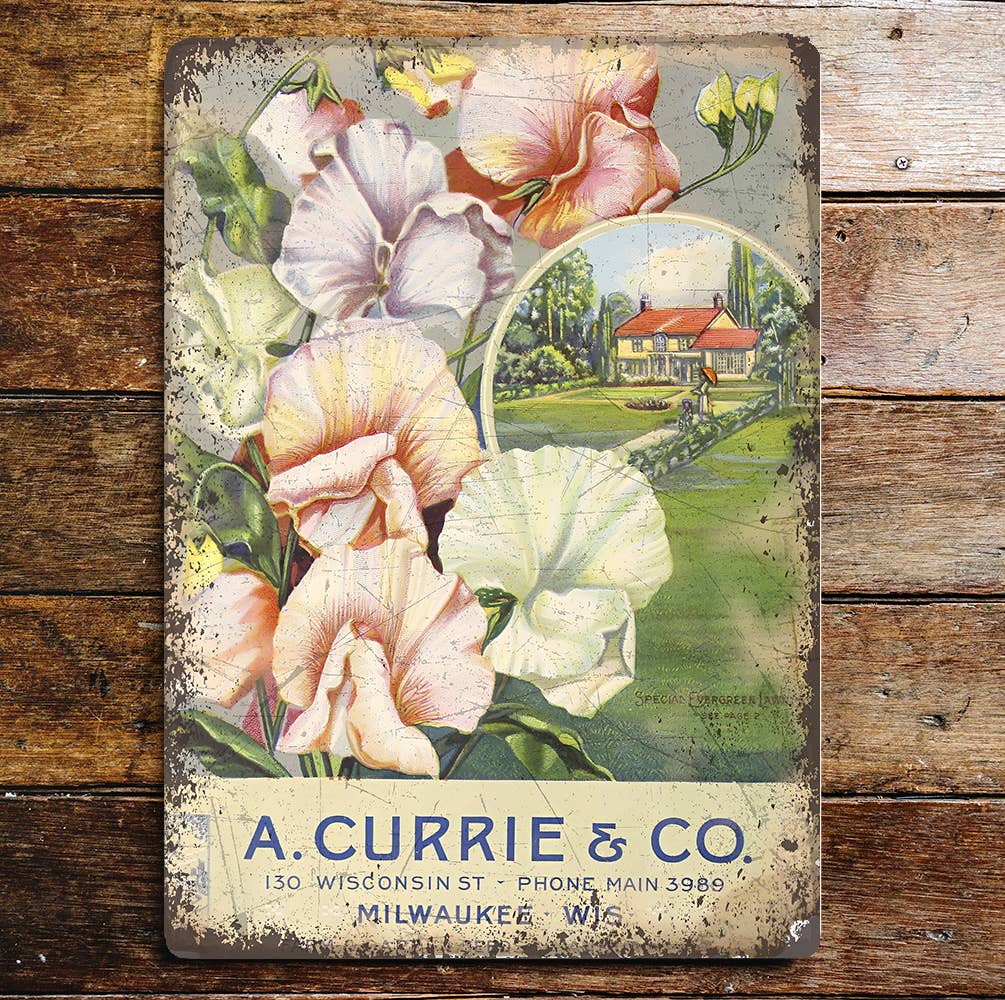 Sweet Pea A Currie & Co Seeds Metal Wall Sign Plaque