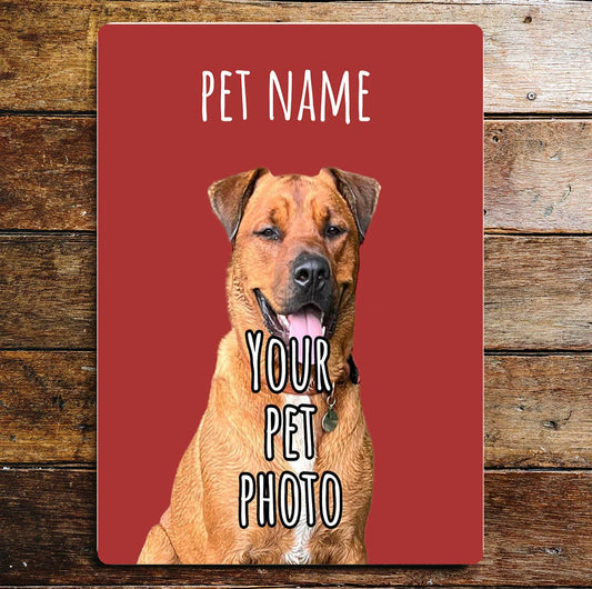 Personalize Pet Photo and Name Metal Sign Plaque