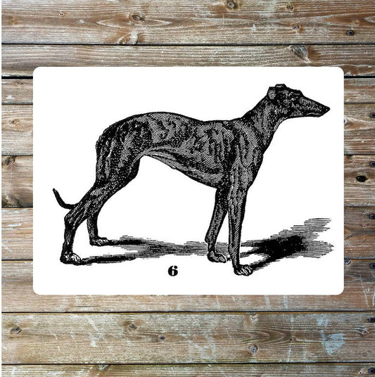 Greyhound
Dog black and white art | Metal Sign Plaque