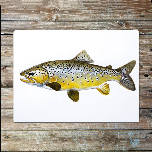 Brown Trout Fish | Watercolour | Metal Sign Plaque