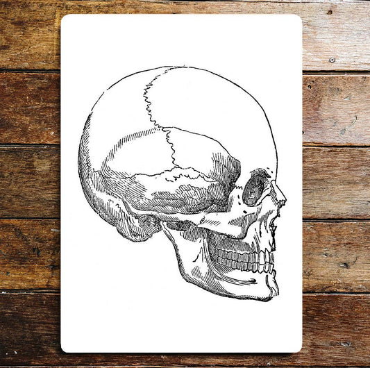 Skull Sideways Halloween Metal Wall Sign