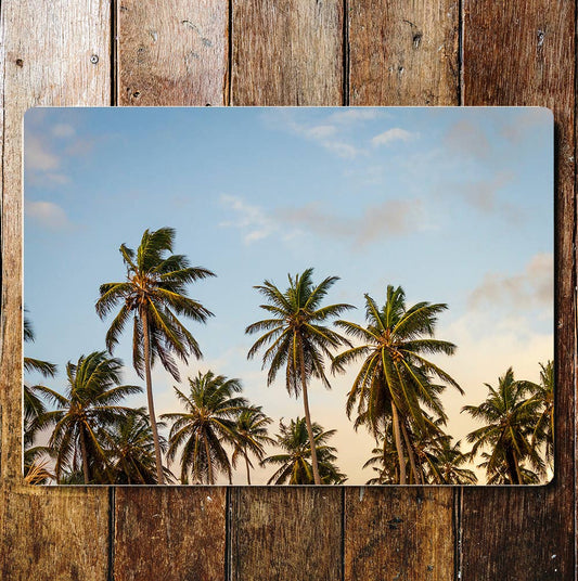 Palm Trees Blue Skies Tropical Metal Sign Plaque