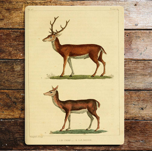Le Cerf La Biche Stag And Deer Animals | Metal Sign Plaque