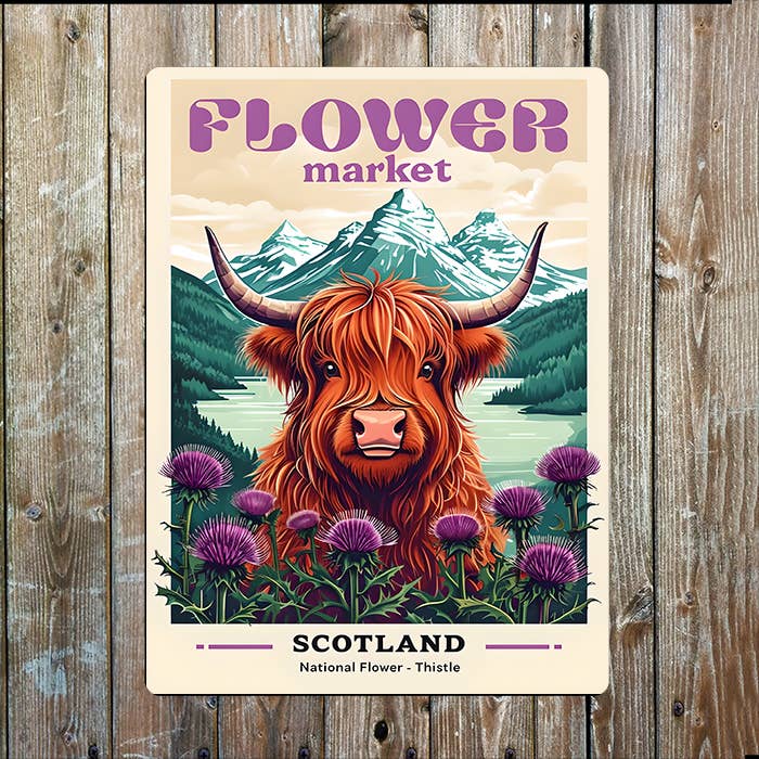 Flower Market Thistle Scottish, Scotland | Metal Sign Plaque