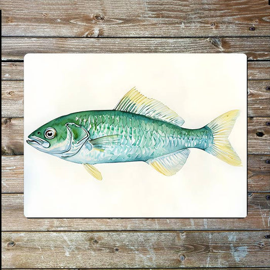 Shad Fish | Farm Farmhouse | Metal Sign Plaque