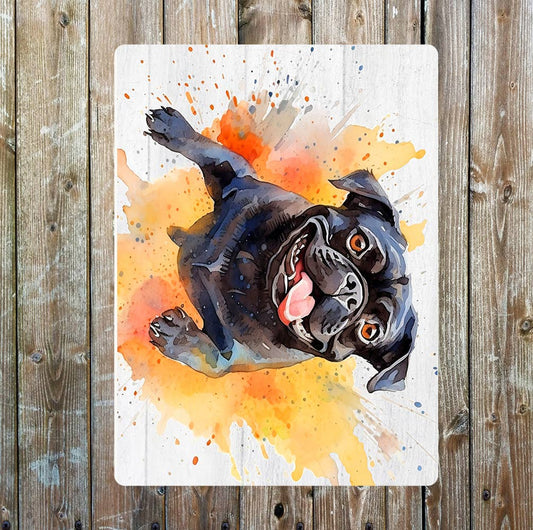 Jumping Black Pug Watercolour Splash | Metal Sign Plaque