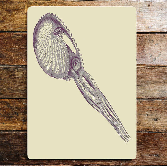 Octopus Squid Sea life | Metal Wall Sign Plaque