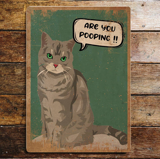 Are you Pooping Cat Bathroom Funny | Metal Sign Plaque