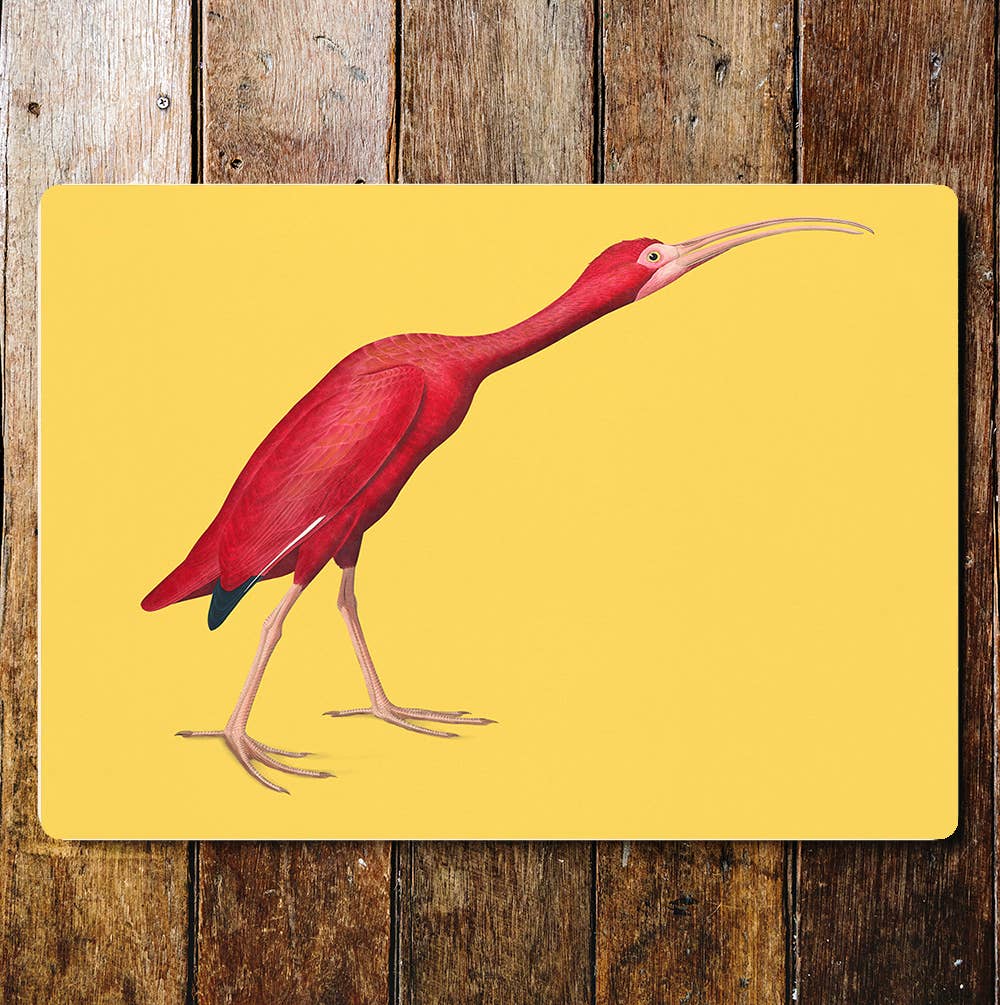 Scarlet Ibis botanical illustration John Audubon Metal Sign