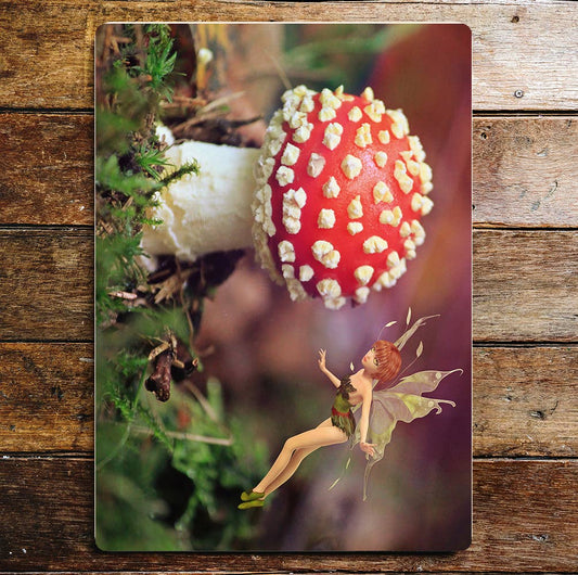 Toad fairy Spiritual Art Metal Sign Plaque