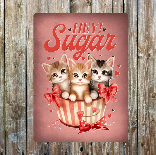 Hey sugar Cats kittens Valentines | Metal Sign Plaque