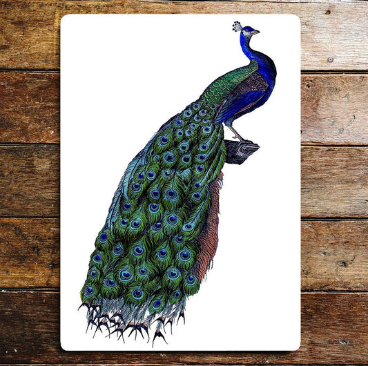 Perched Peacock On Log Colourful Metal Sign Plaque