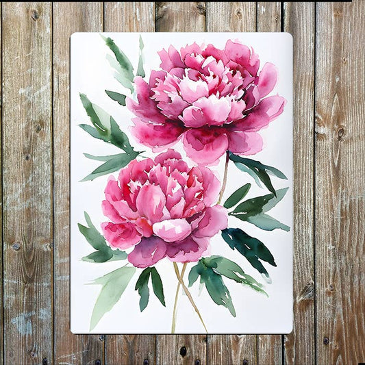 Vibrant Pink Peonies Watercolour Painting Metal Sign Plaque