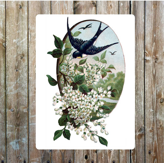 Swallow bird summer art Metal Wall Sign