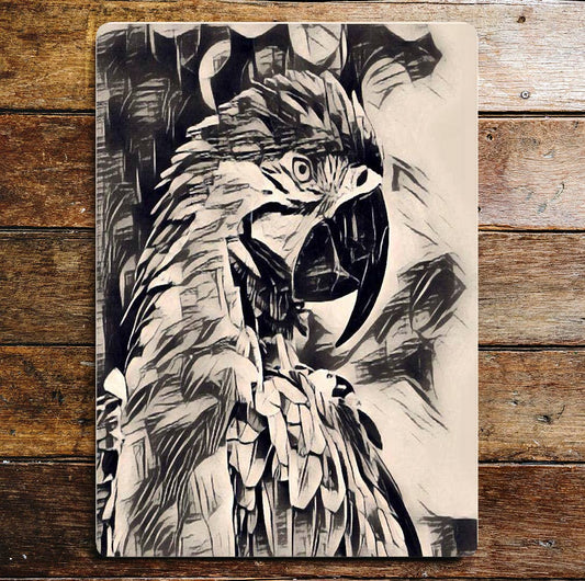 Abstract Parrot Portrait Pencil Drawing | Metal Sign Plaque