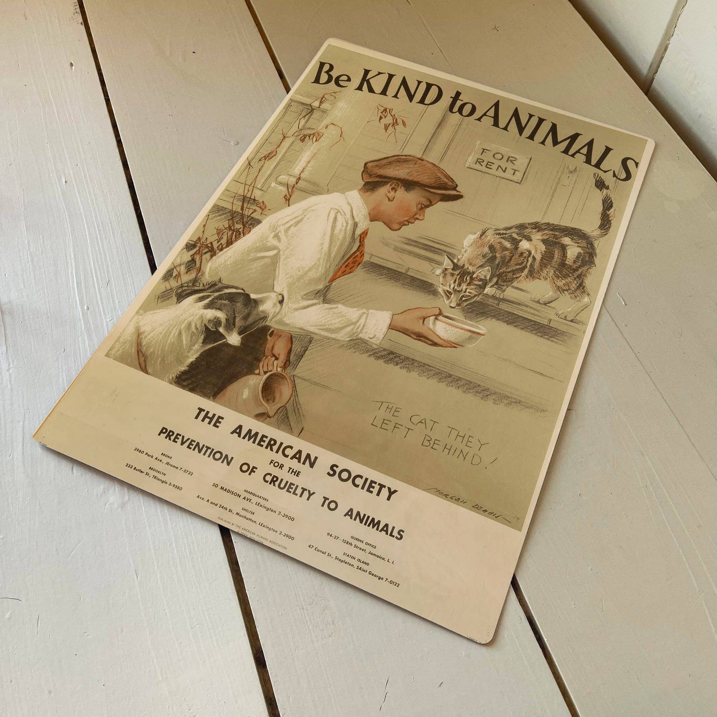 Be Kind To Animals Cat milk | Metal Animal Wall Sign