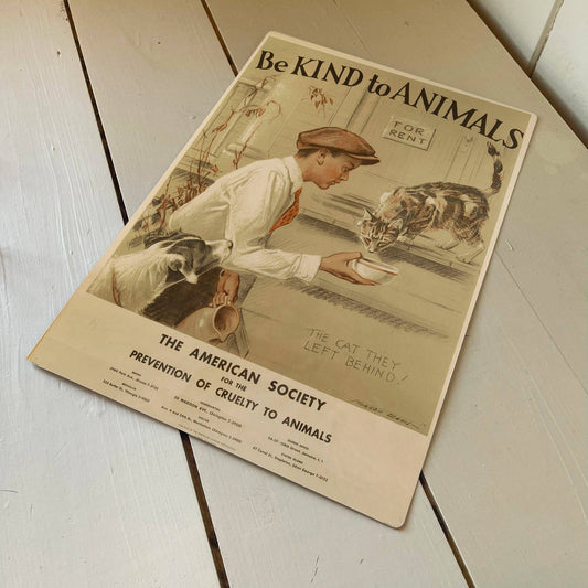 Be Kind To Animals Cat milk | Metal Animal Wall Sign