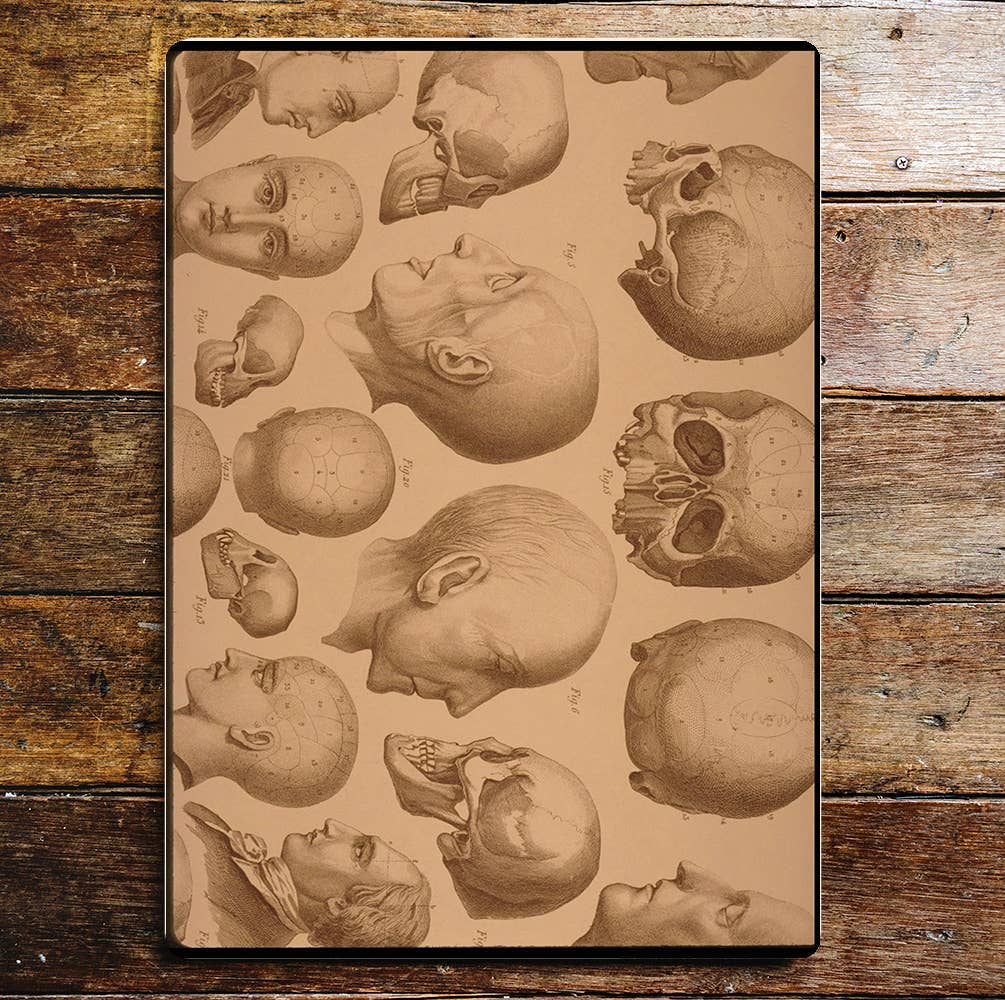 Skull Heads Skeleton Halloween Metal Wall Sign