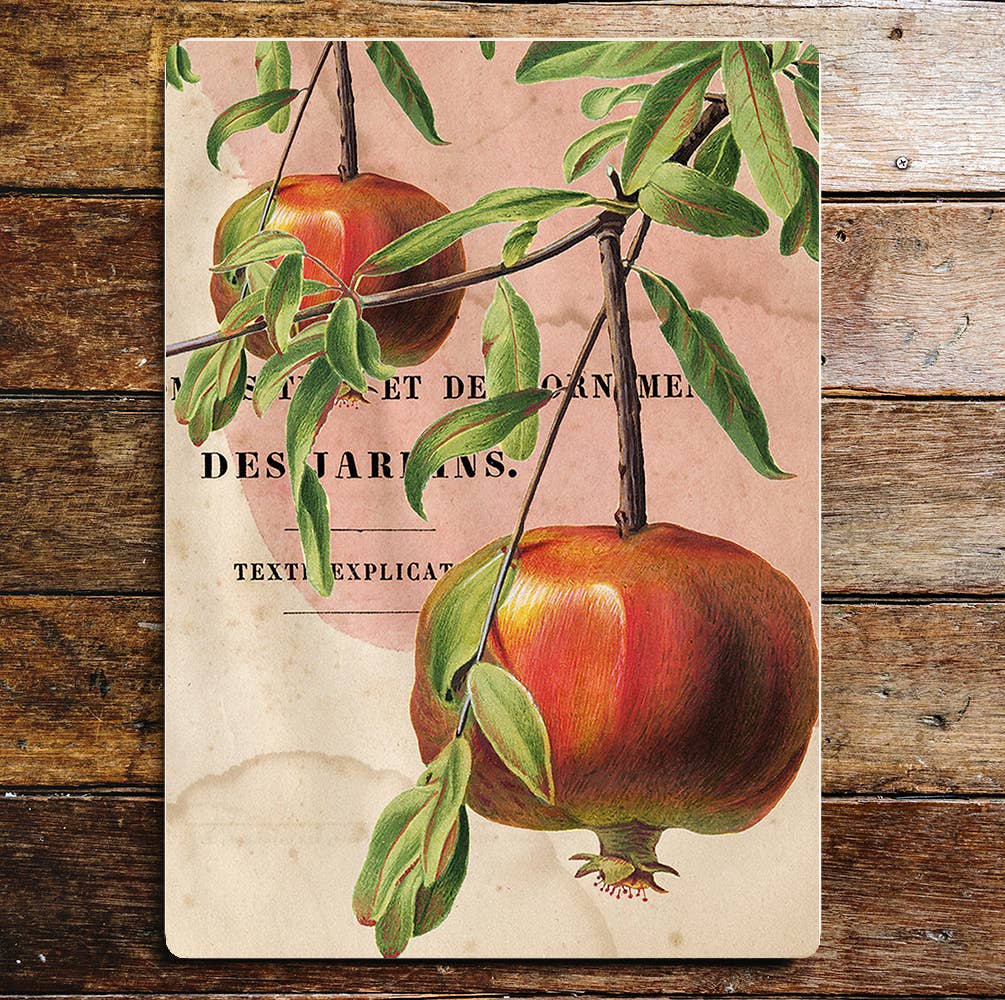 Pomegranate Twig Tree Kitchen Red Metal Sign Plaque