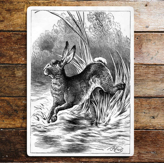 Smiling Hare Jumping Country Life Trees Metal Sign Plaque