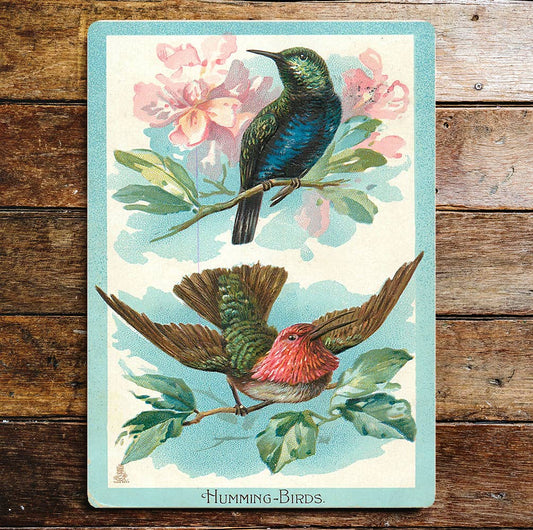 Humming Birds Blue Pink Flowers | Metal Wall Sign Plaque