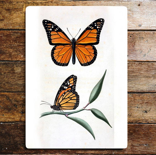 Butterflies Orange Black | Metal Sign Plaque