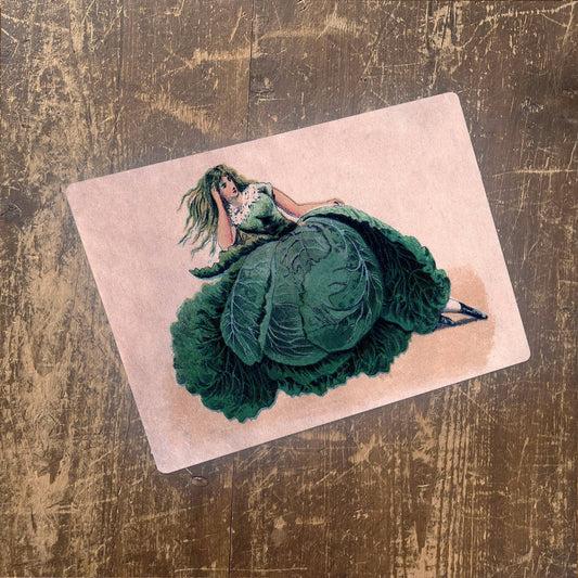 Vintage Lady Cabbage Dress Garden Plant | Metal Sign
