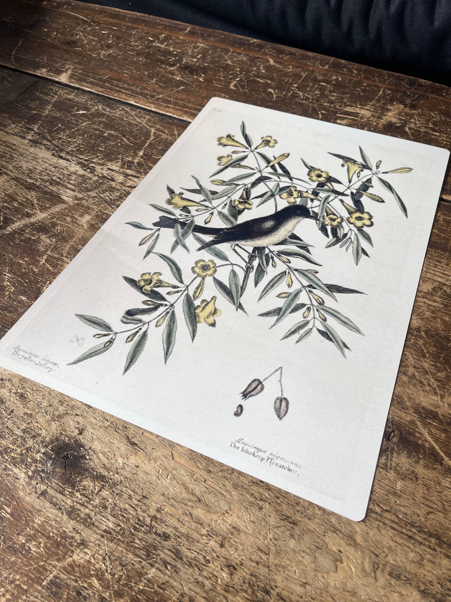 Bird Branch Botanical | Metal Botanical Wall Sign