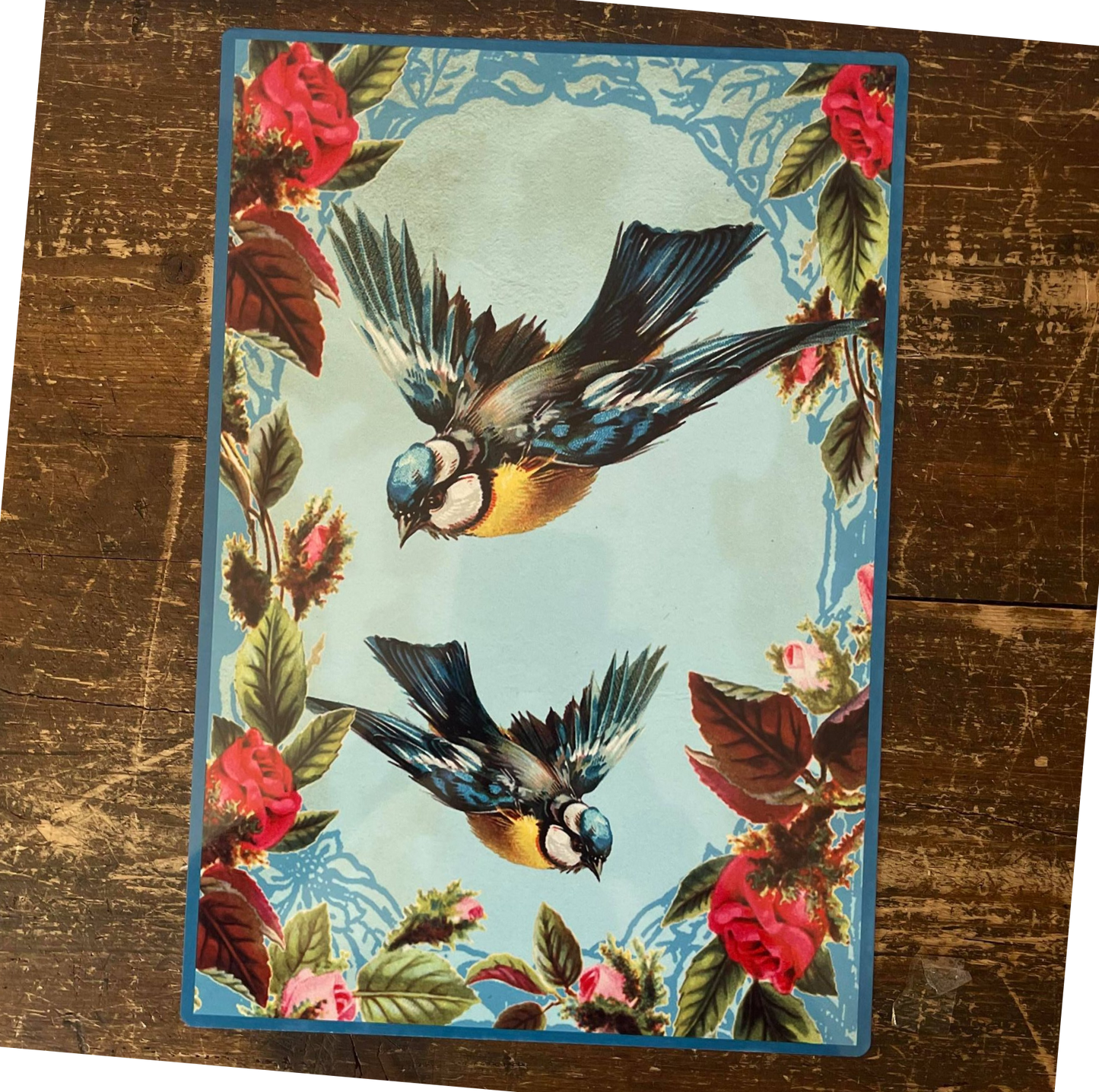 Blue Birds Collage | Metal Humour Wall Sign