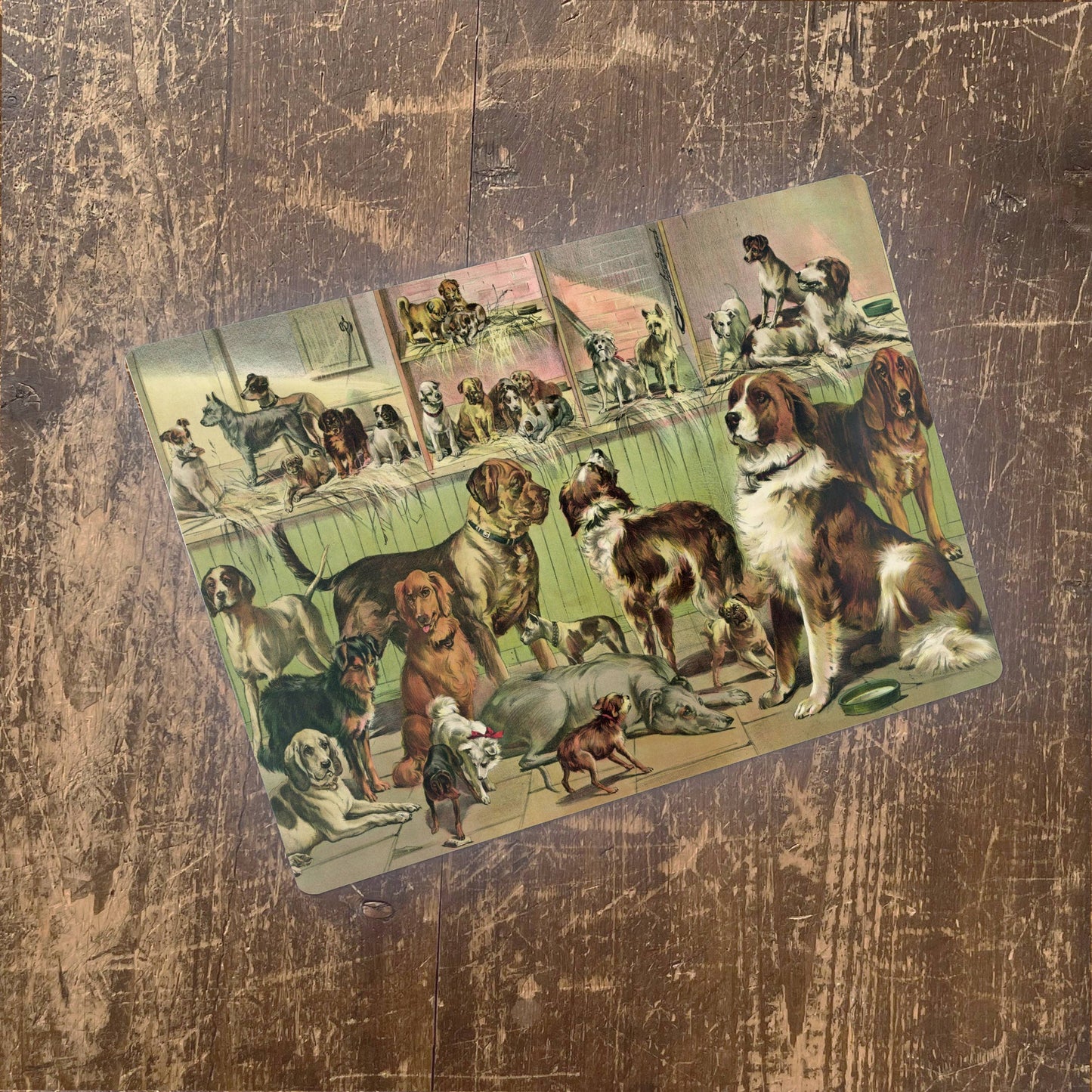 Dogs Kennel Club Pets | Metal Animal Wall Sign