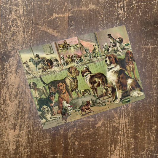 Dogs Kennel Club Pets | Metal Animal Wall Sign