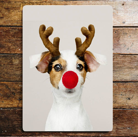 Jack Russel Reindeer Red Nose Christmas | Metal Sign Plaque