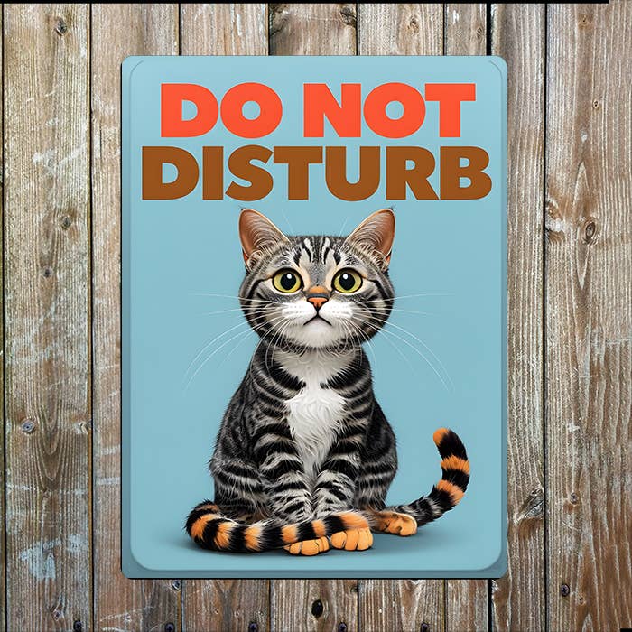 Do Not Disturb | Cat Kitten | Metal Sign Plaque