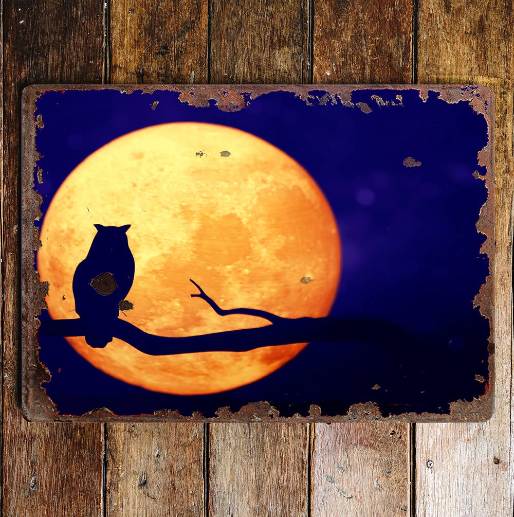 Halloween Owl full moon Night sky | Metal Wall Sign Plaque