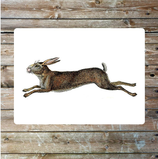 Hare nature wildlife vintage art | Metal Sign Plaque