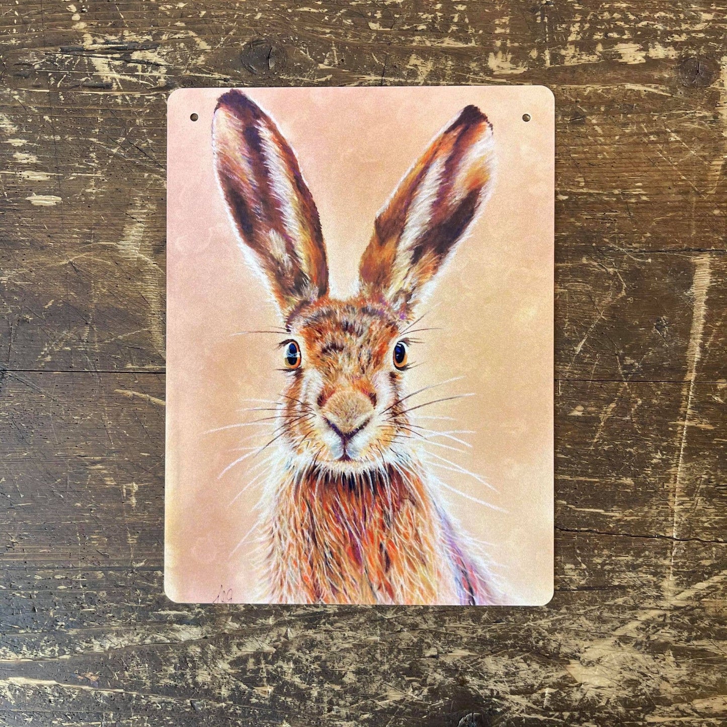 Hare Illustration | Metal Botanical Wall Sign plaque