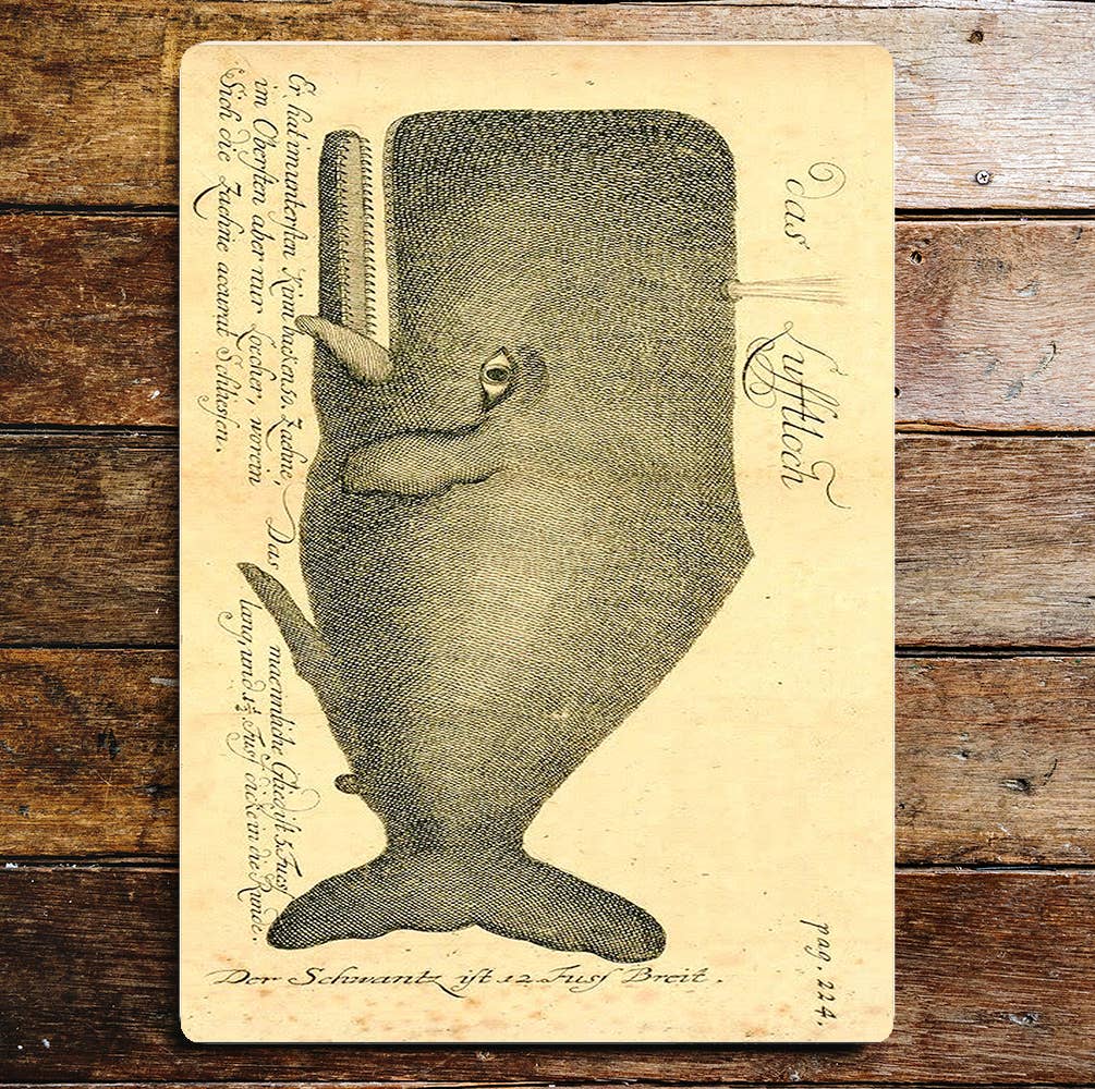 Whale  | Metal Wall Sign Plaque