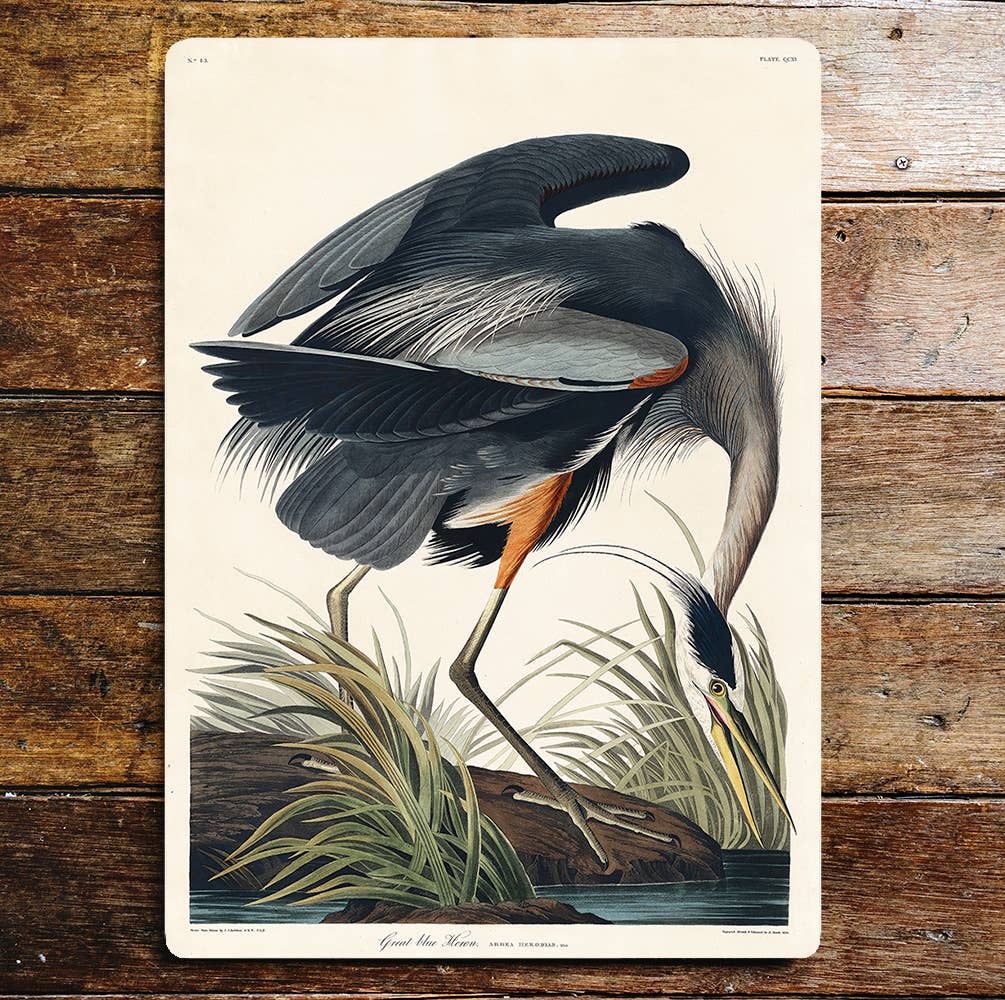 Great Blue Heron Fishing Pond Life | Metal Sign Plaque
